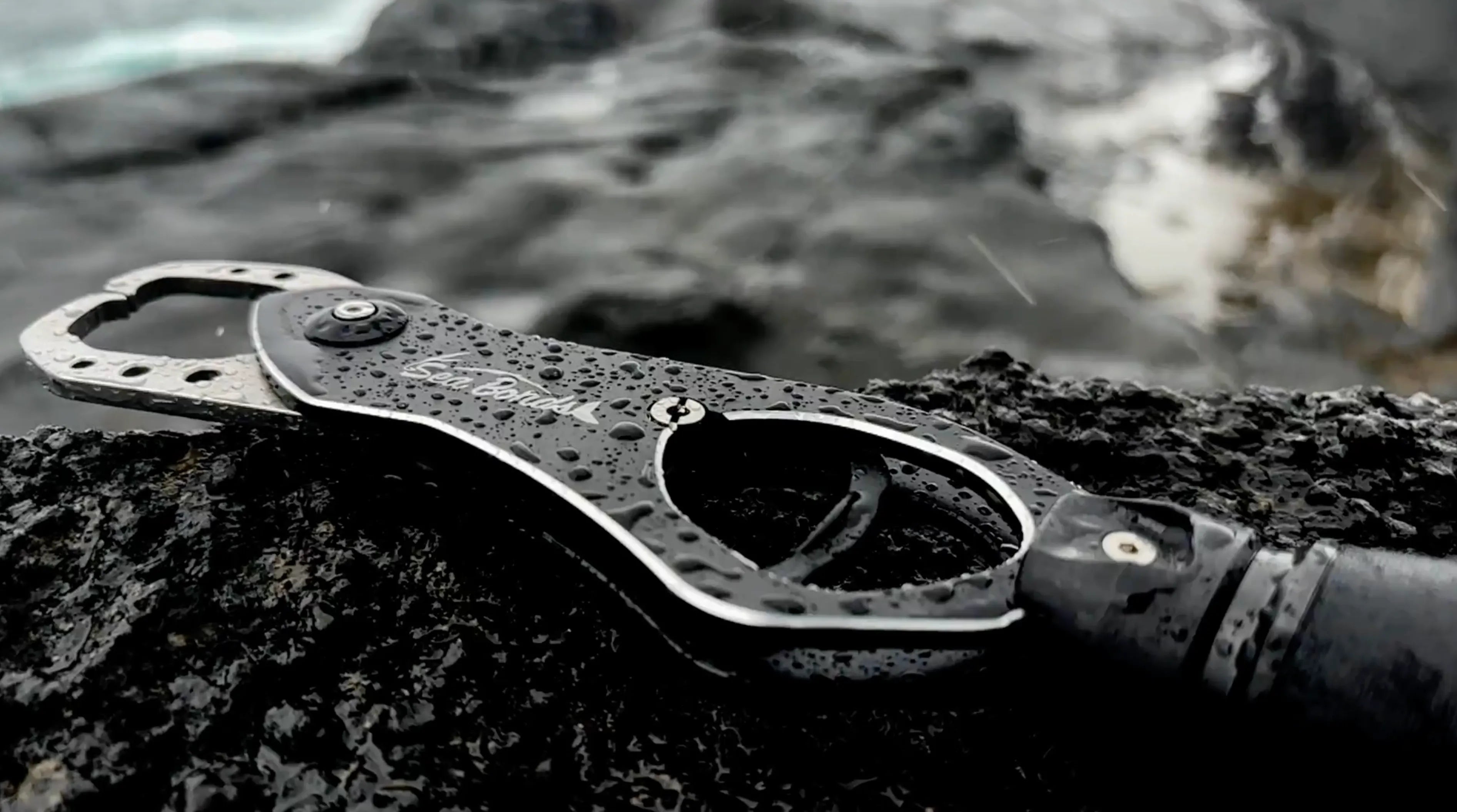 フィッシュグリップ&スケール