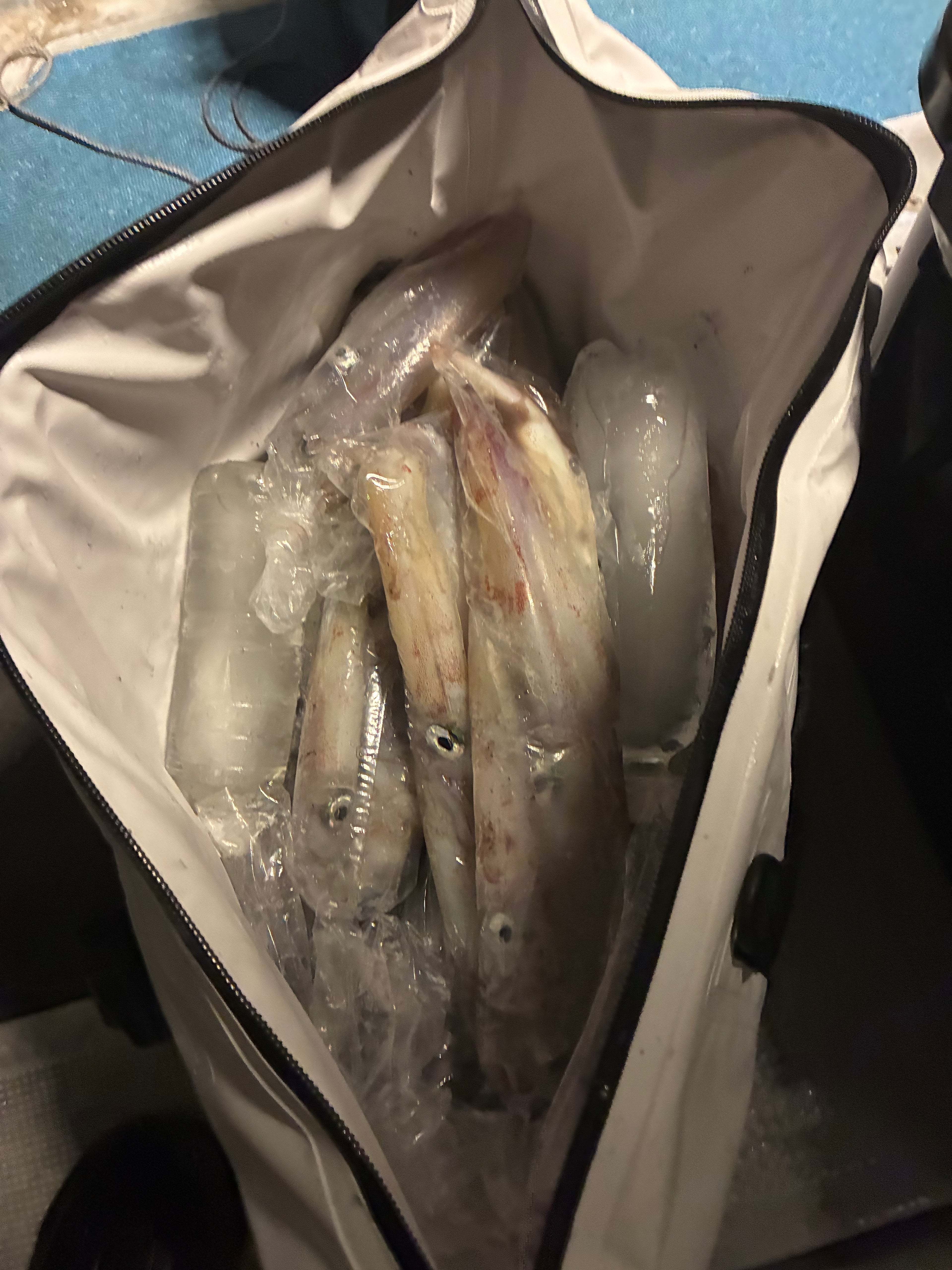SeaBonds ソフトクーラーバッグ 35L 釣り・アウトドア用
