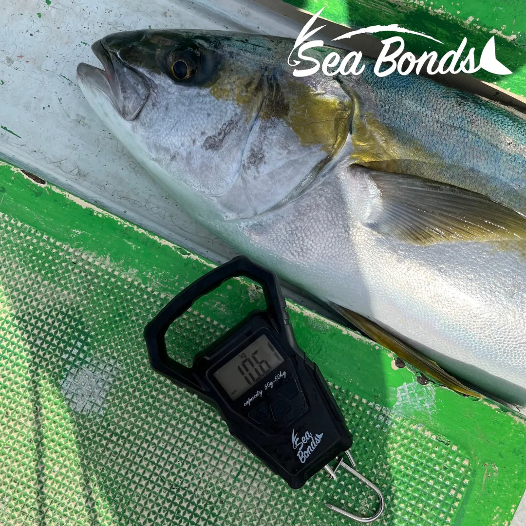 フィッシングスケール（オレンジ｜ブラック）　圧倒的にサビに強い 送料無料