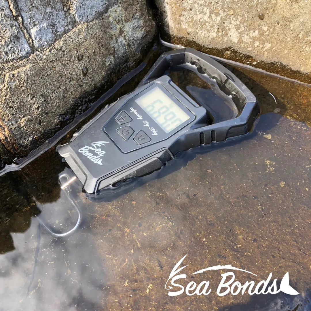 フィッシングスケール（オレンジ｜ブラック）　圧倒的にサビに強い 送料無料