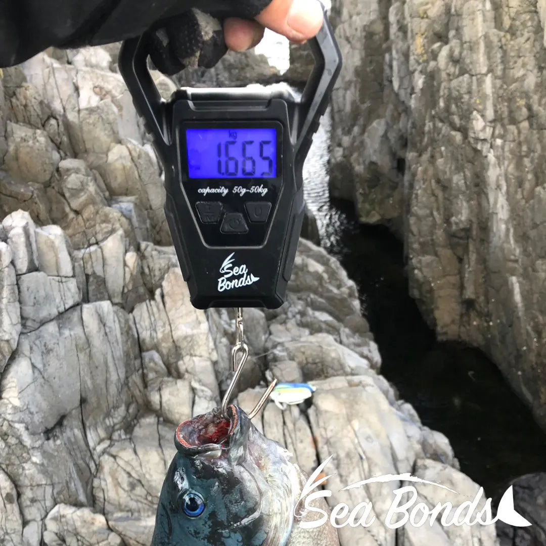 フィッシングスケール（オレンジ｜ブラック）　圧倒的にサビに強い 送料無料