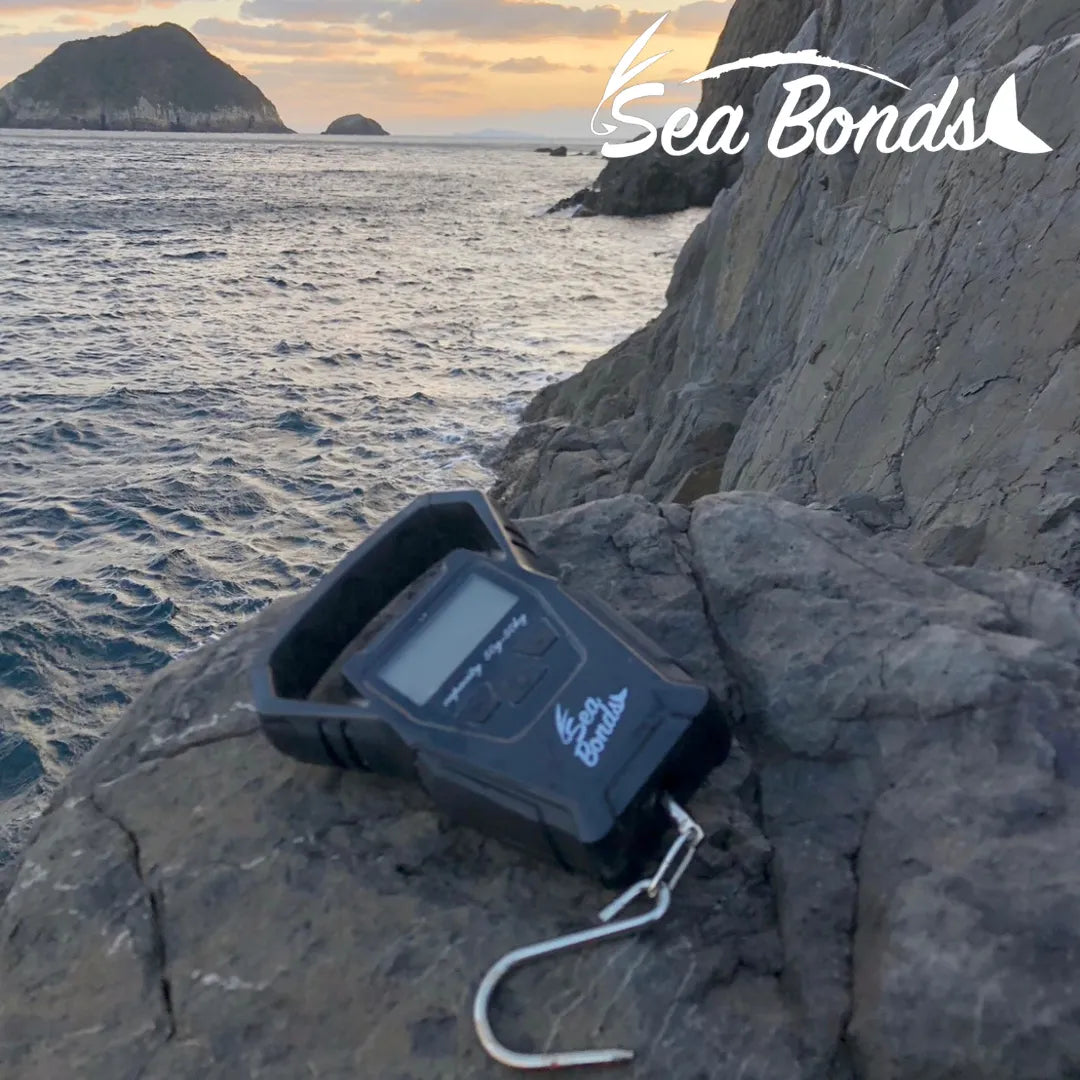 フィッシングスケール（オレンジ｜ブラック）　圧倒的にサビに強い 送料無料