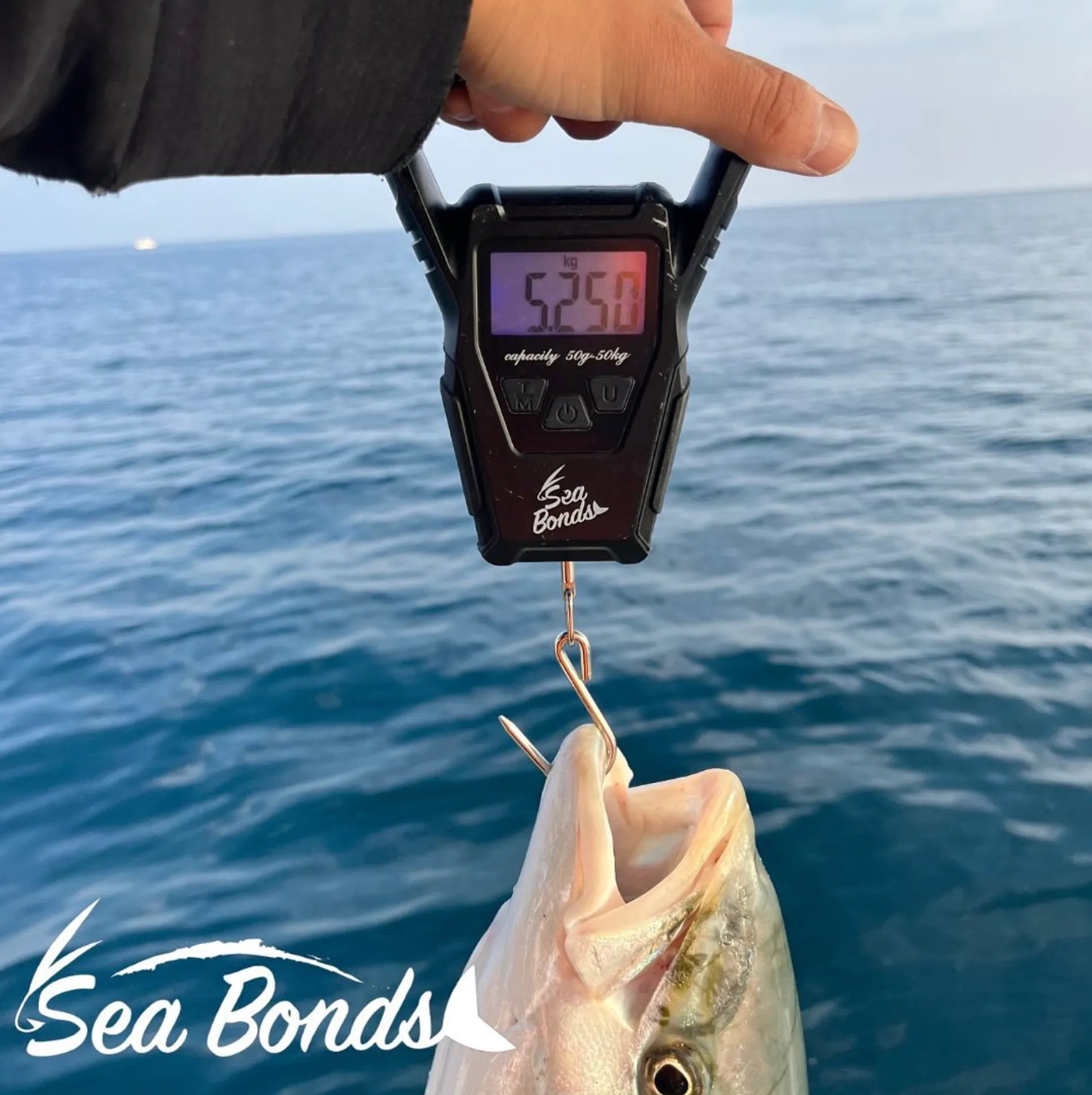 フィッシングスケール（オレンジ｜ブラック）　圧倒的にサビに強い 送料無料