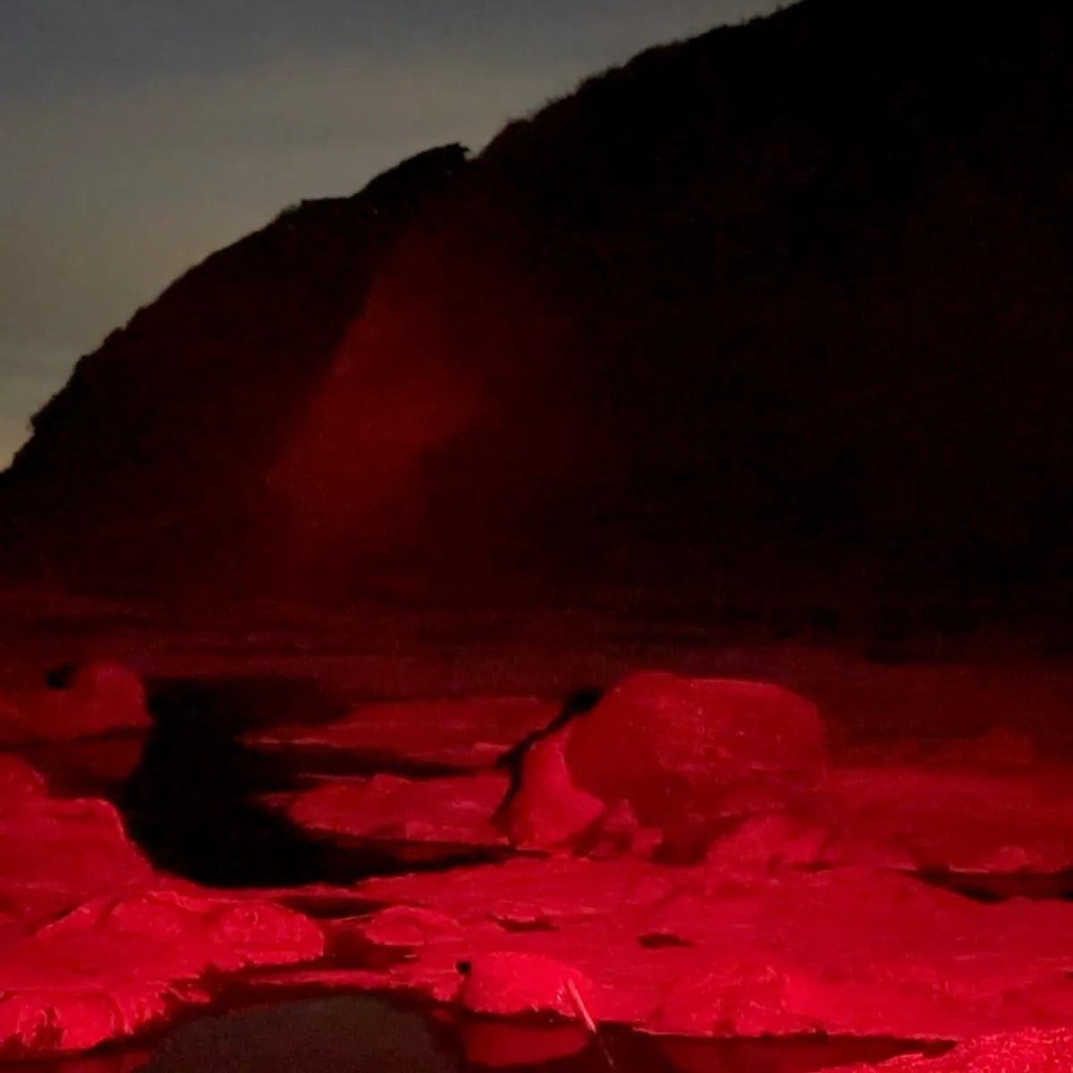 ヘッドライトSPEC2 1000ルーメン（ハイモデル3500mAh｜ミドルモデル2600mAh） 送料無料