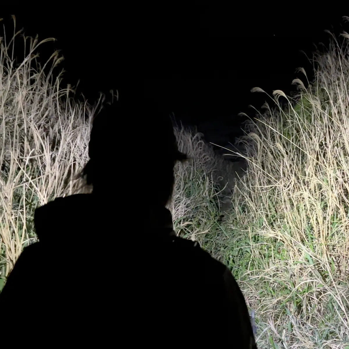 ヘッドライトSPEC2 1000ルーメン（ハイモデル3500mAh｜ミドルモデル2600mAh） 送料無料